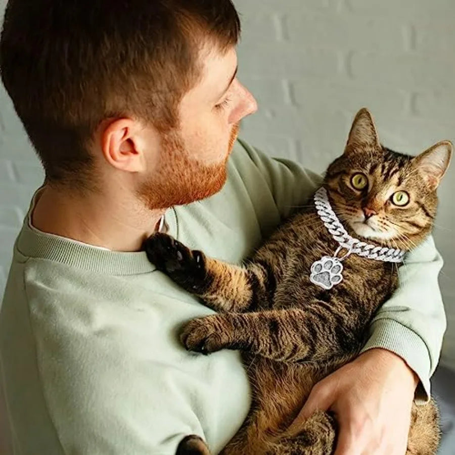 Diamond Chain Glitter Cat Collar With Buckle Paw Charm ID