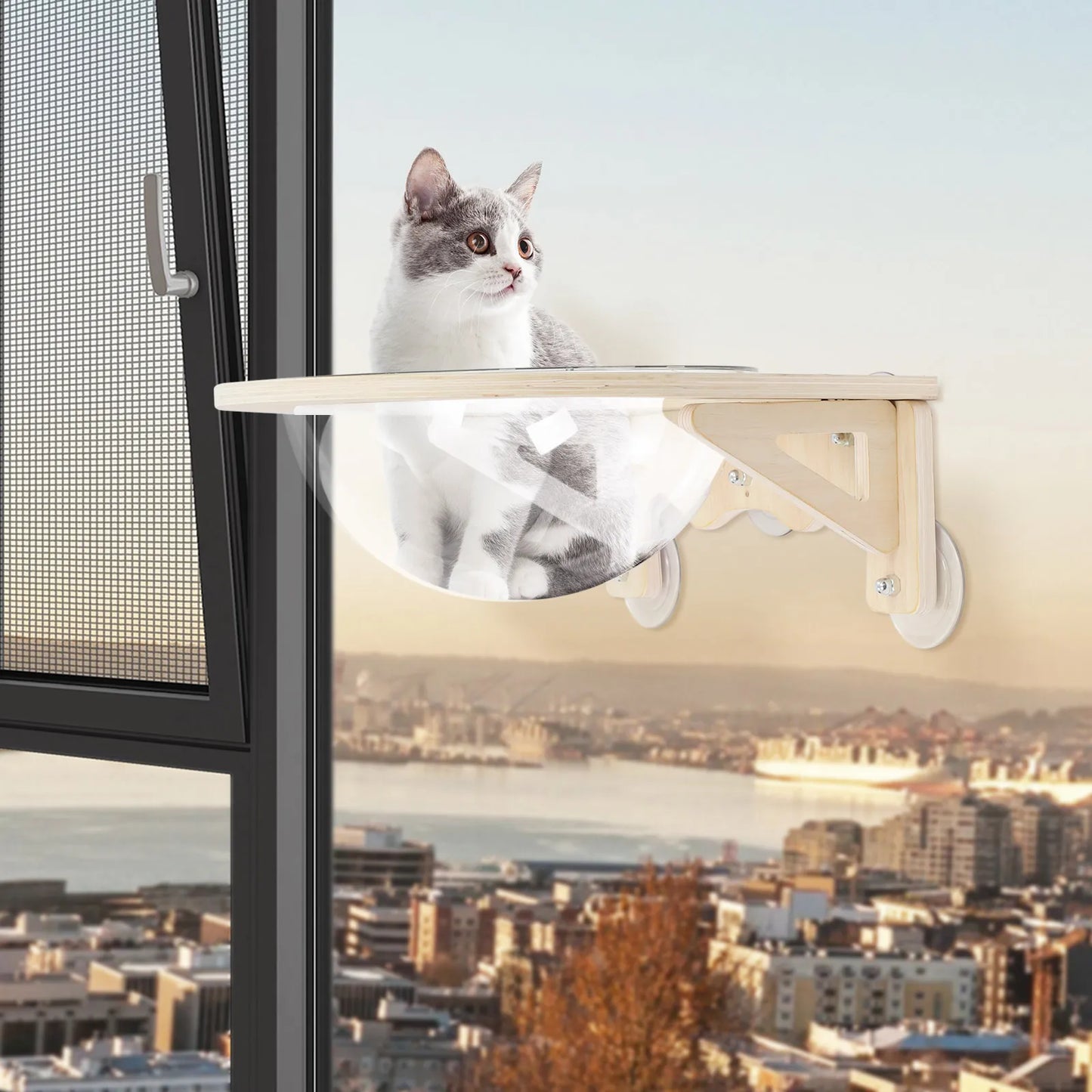 Clear Space Capsule Cat House Wall Mounted With Wooden Frame