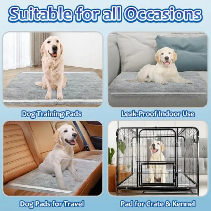 Dog Pee Pads Thirty Count Potty Pads For Odor Control