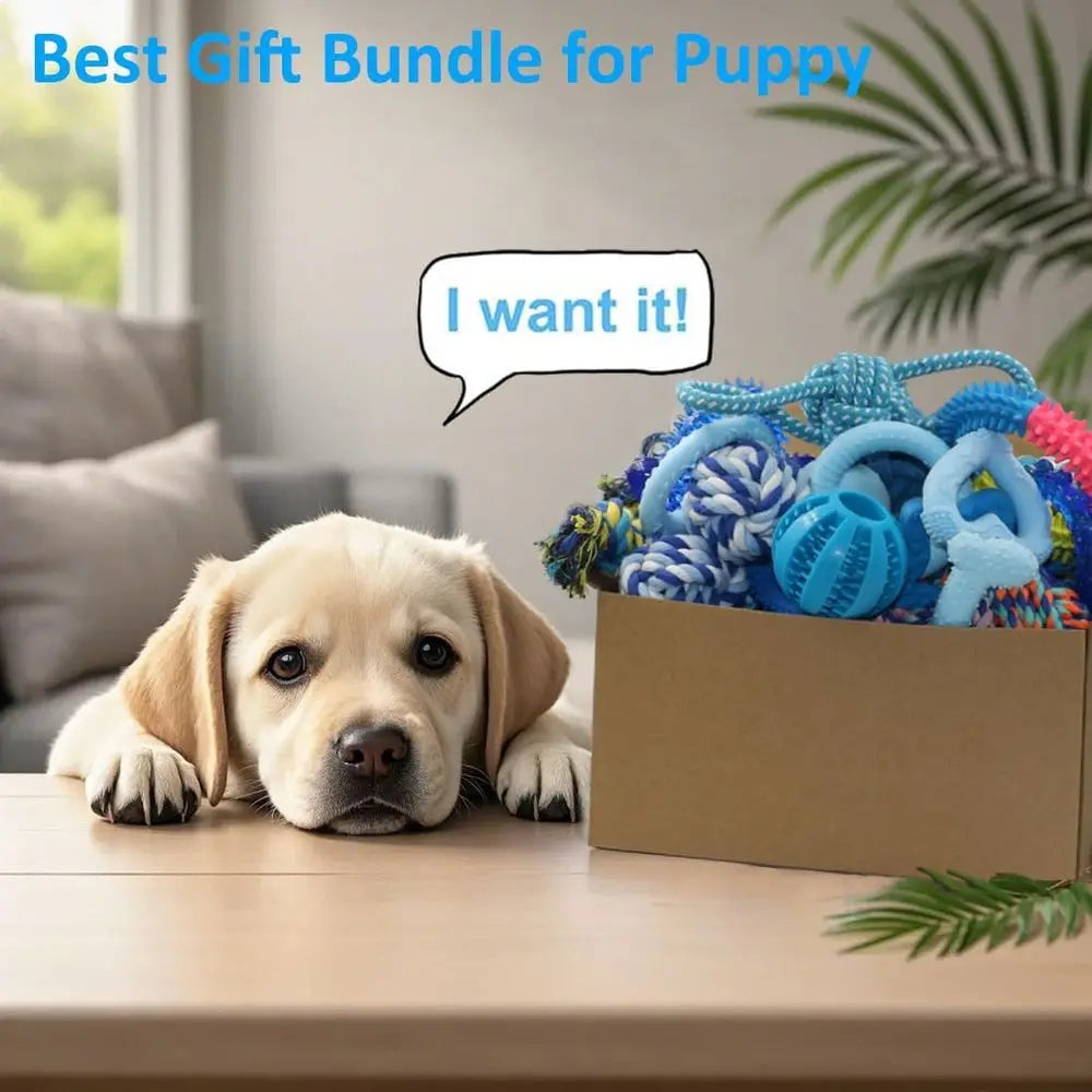 20 Pack Puppy Chew Toys Bundle For Teething Puppies