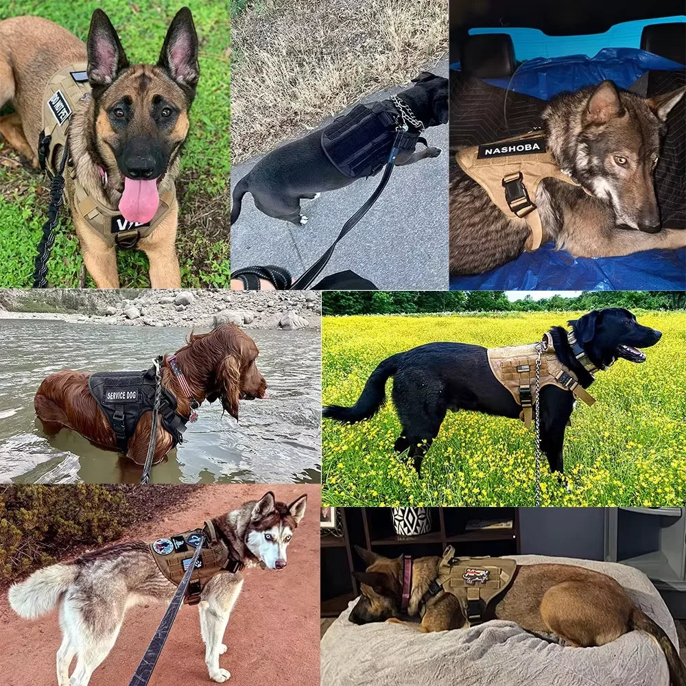 Tactical Dog Harness Vest With Leash Velcro Patches And Sunglasses