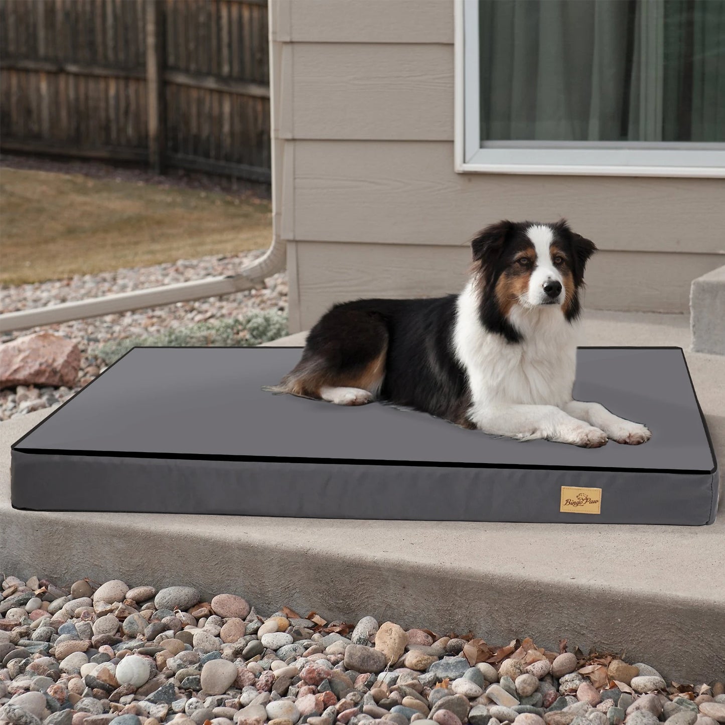 BINGOPAW Orthopedic Washable Dog Bed With Removable Cover
