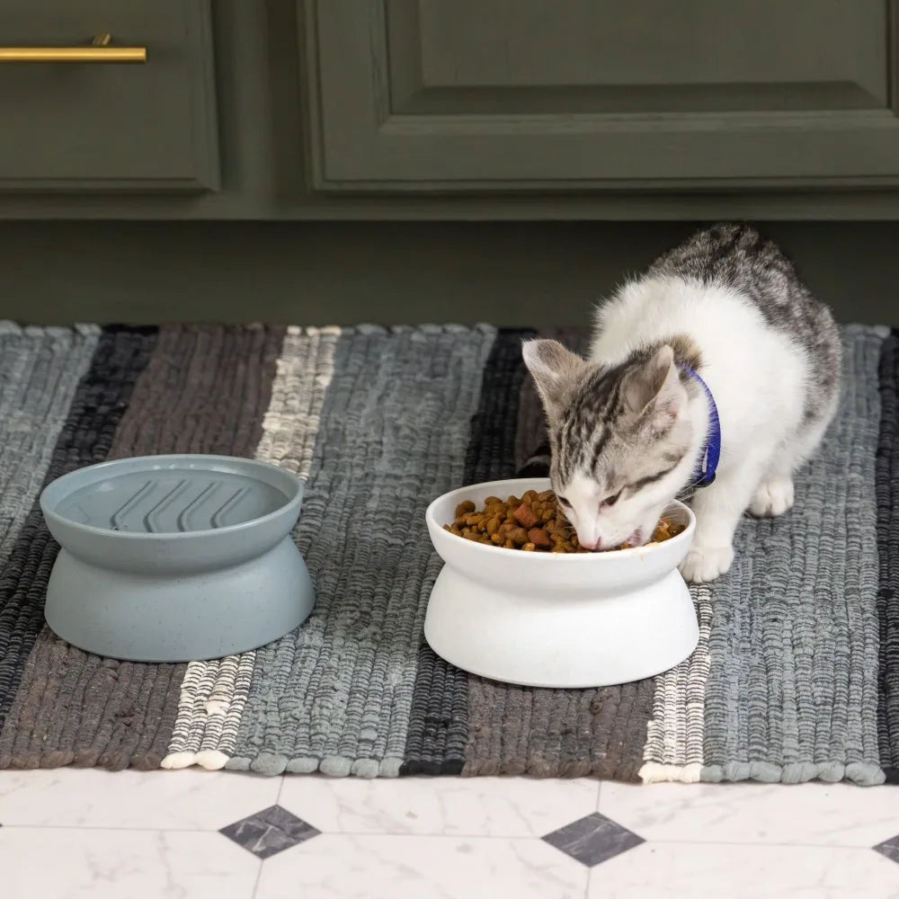 Elevated Cat Bowls For Small Cats Slow Feeder Whisker Relief