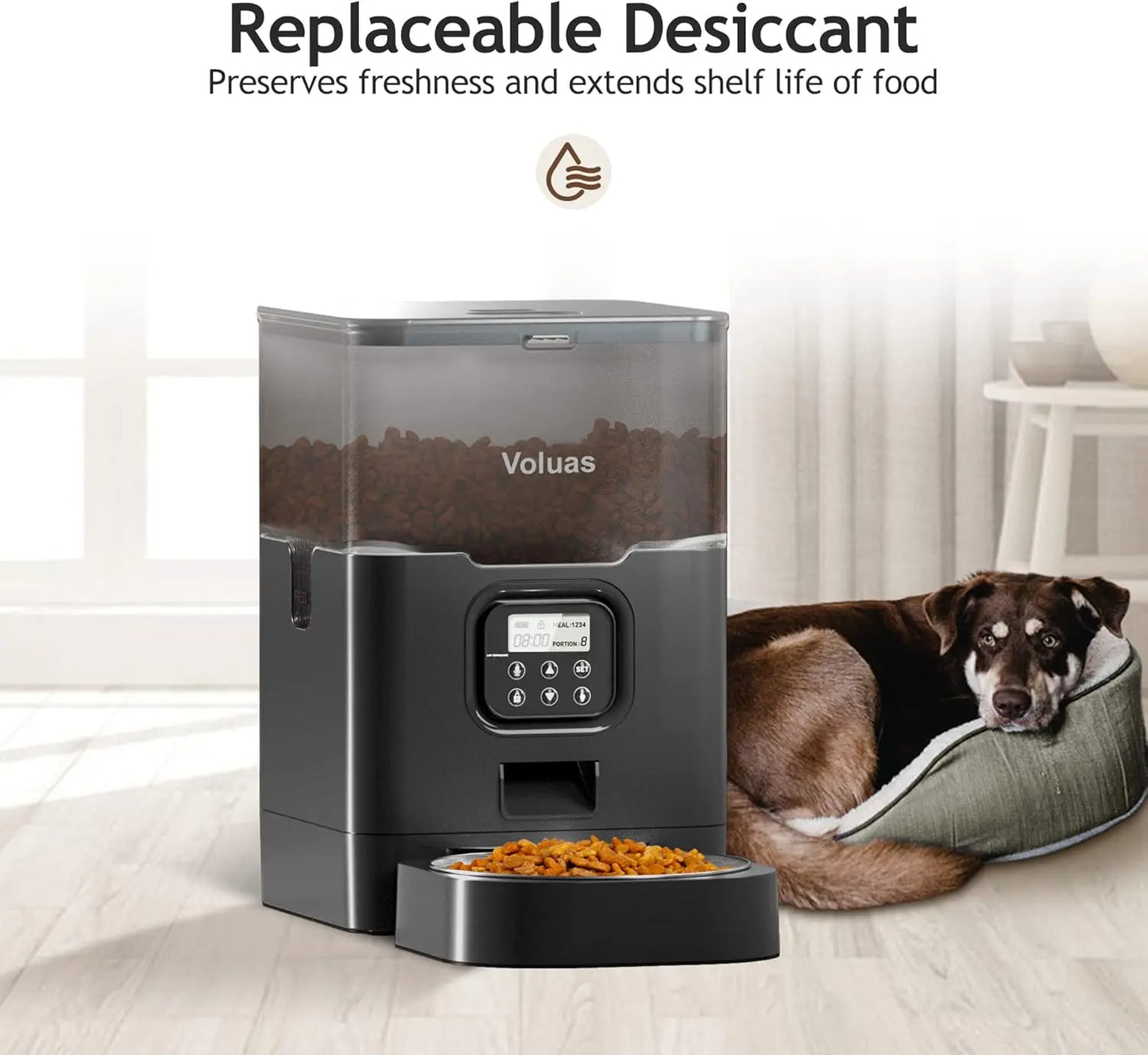 Automatic Cat Feeder With Timer For 4 Meals Per Day