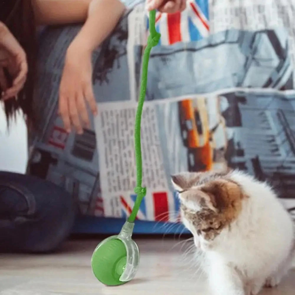 Interactive LED Cat Toy Ball With Adjustable Speed Rope Tail