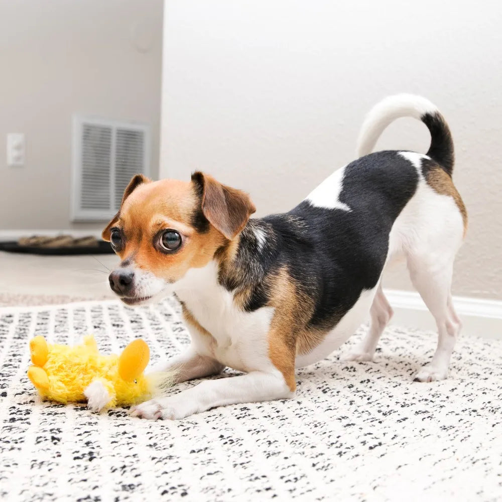 KONG Dr. Noyz Duck Squeaky Plush Dog Toy for Puppies