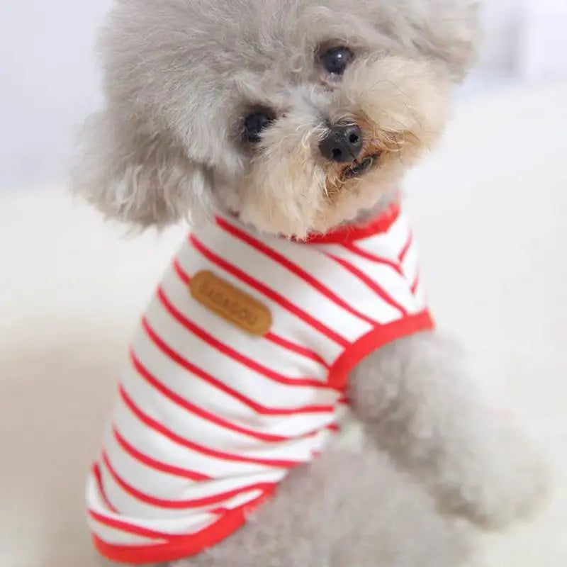 Puppy Sleeveless Vest For Small Dogs Spring Summer Outfits