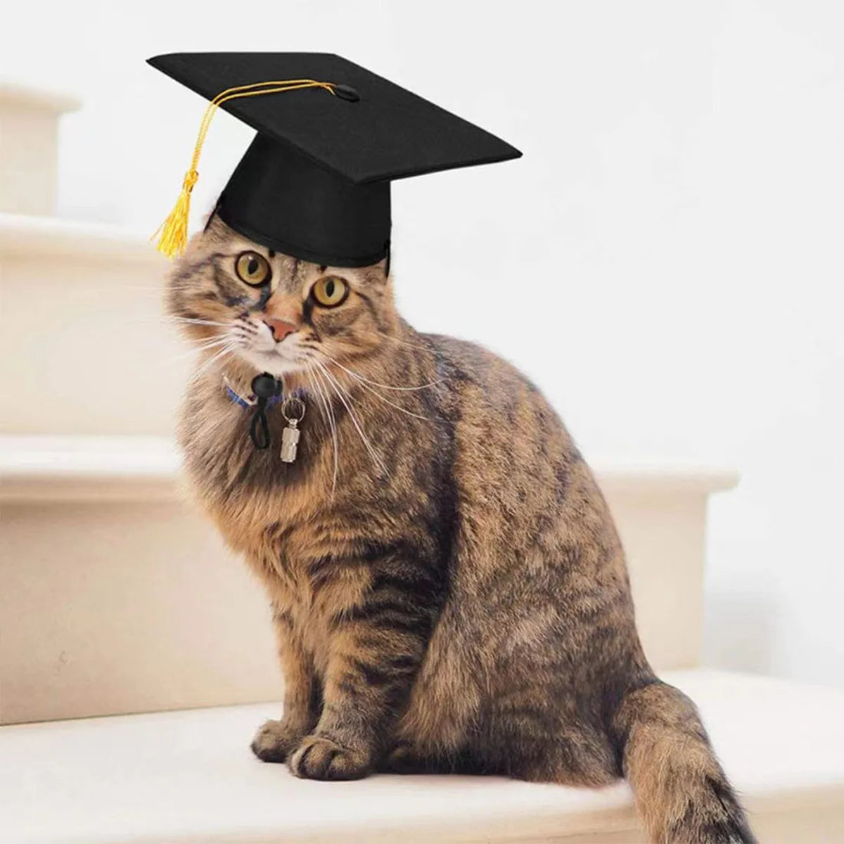 Pet Graduation Cap Mortarboard for Cats and Small Dogs