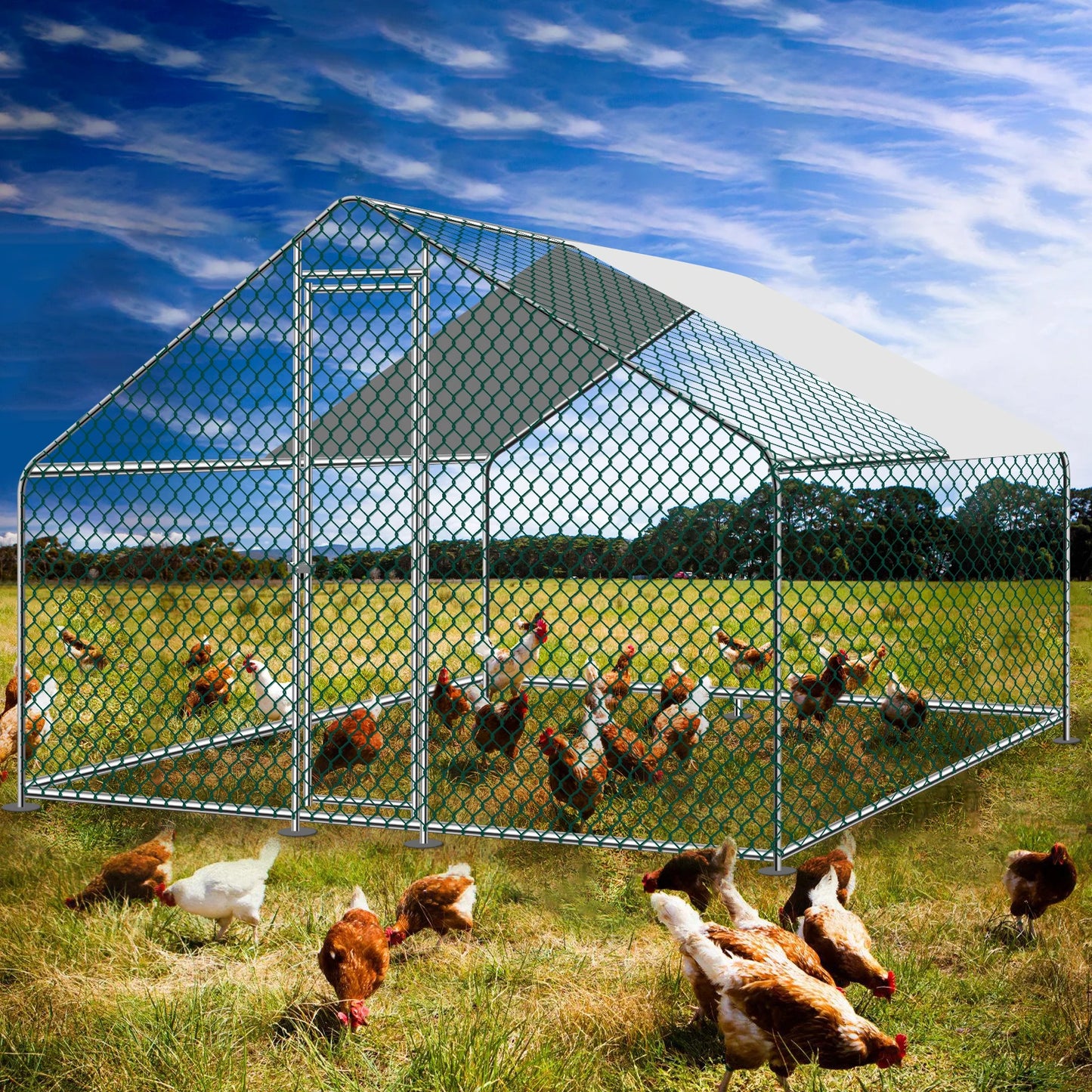 Teousev Walk In Metal Chicken Coop With Roof And Hex Mesh