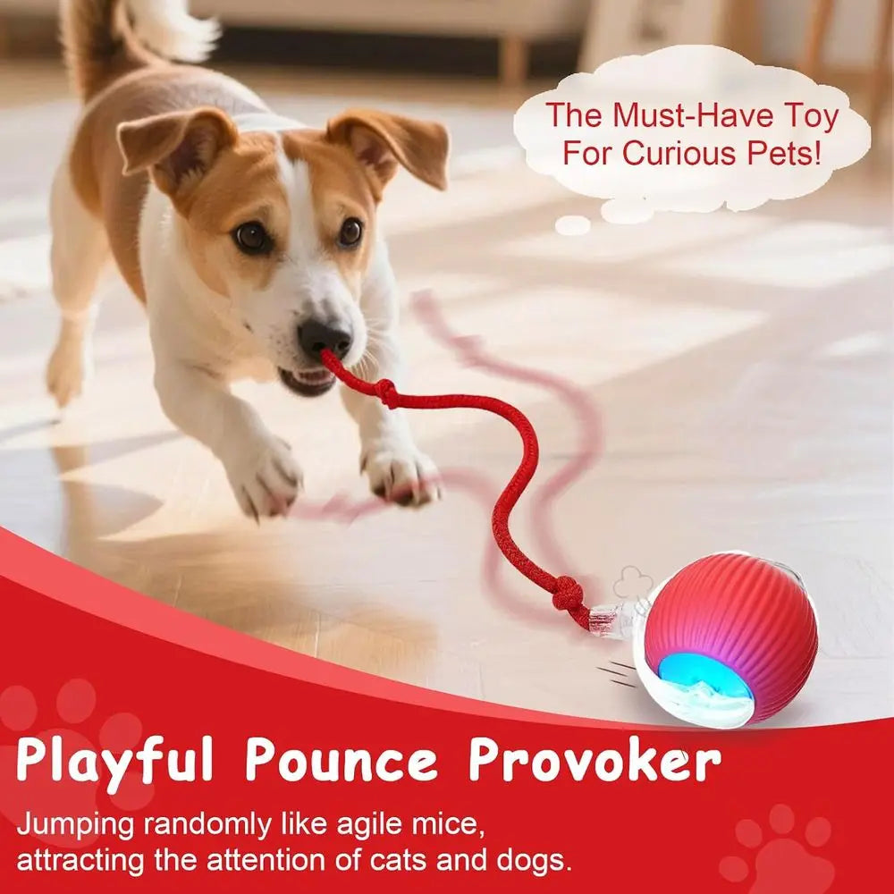 Automatic Rolling Smart Ball Interactive Dog And Cat Toy
