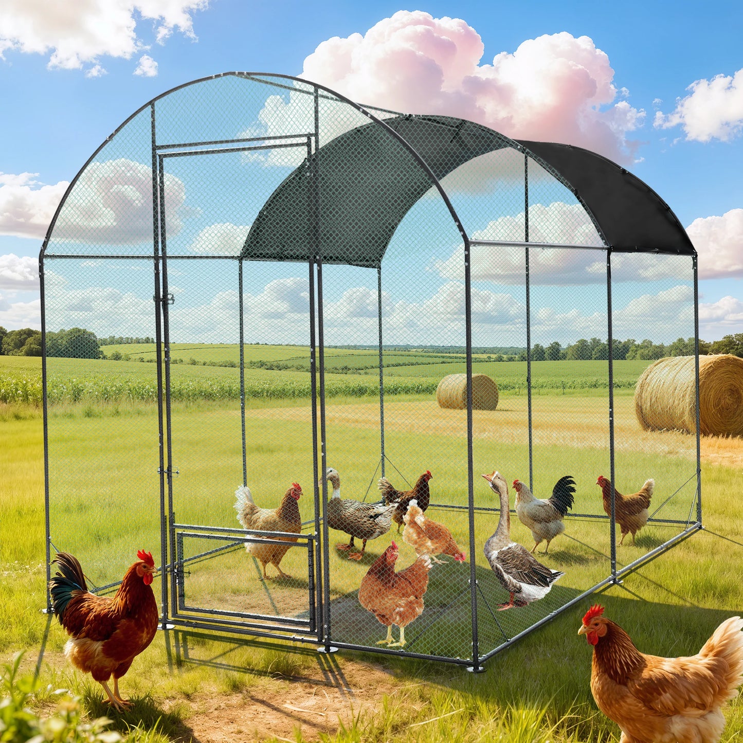 BORWART Chicken Coop Cage Outdoor Walk-In Run Pen With Netting