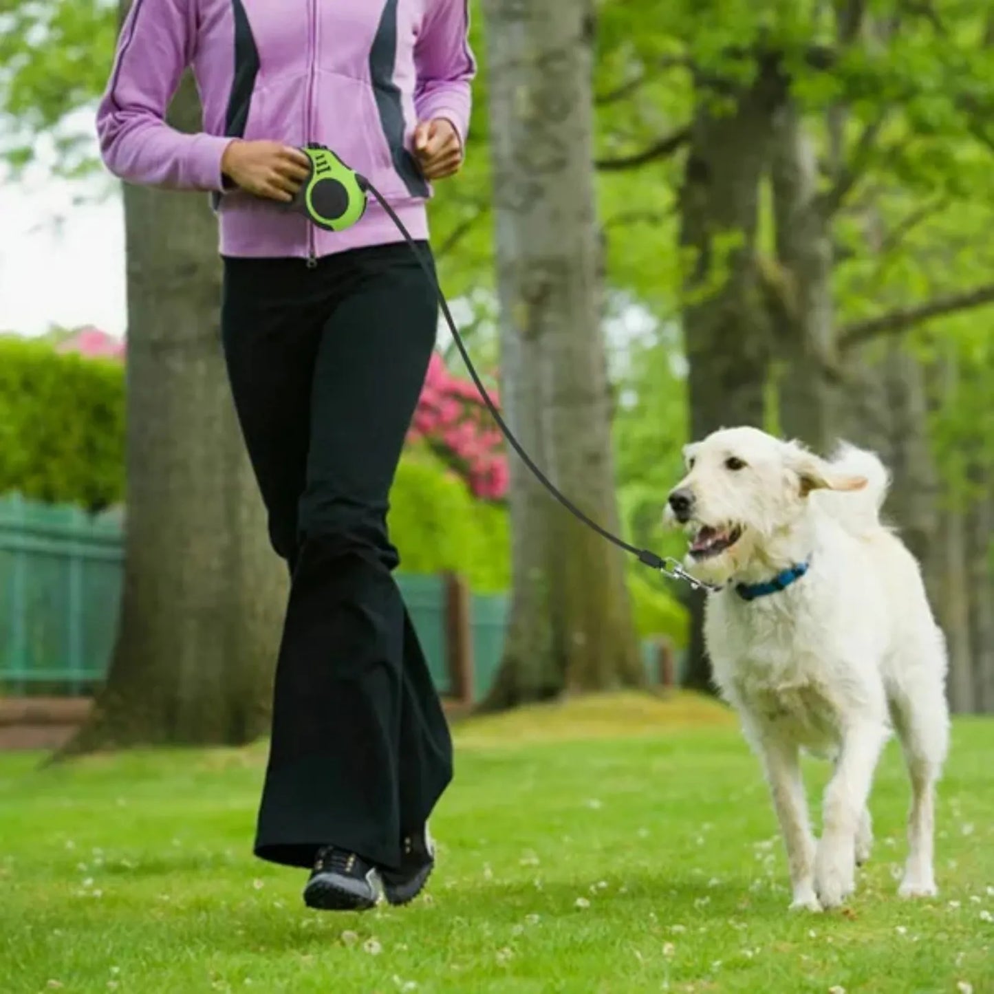 Automatic Retractable Dog Leash For Everyday Walks