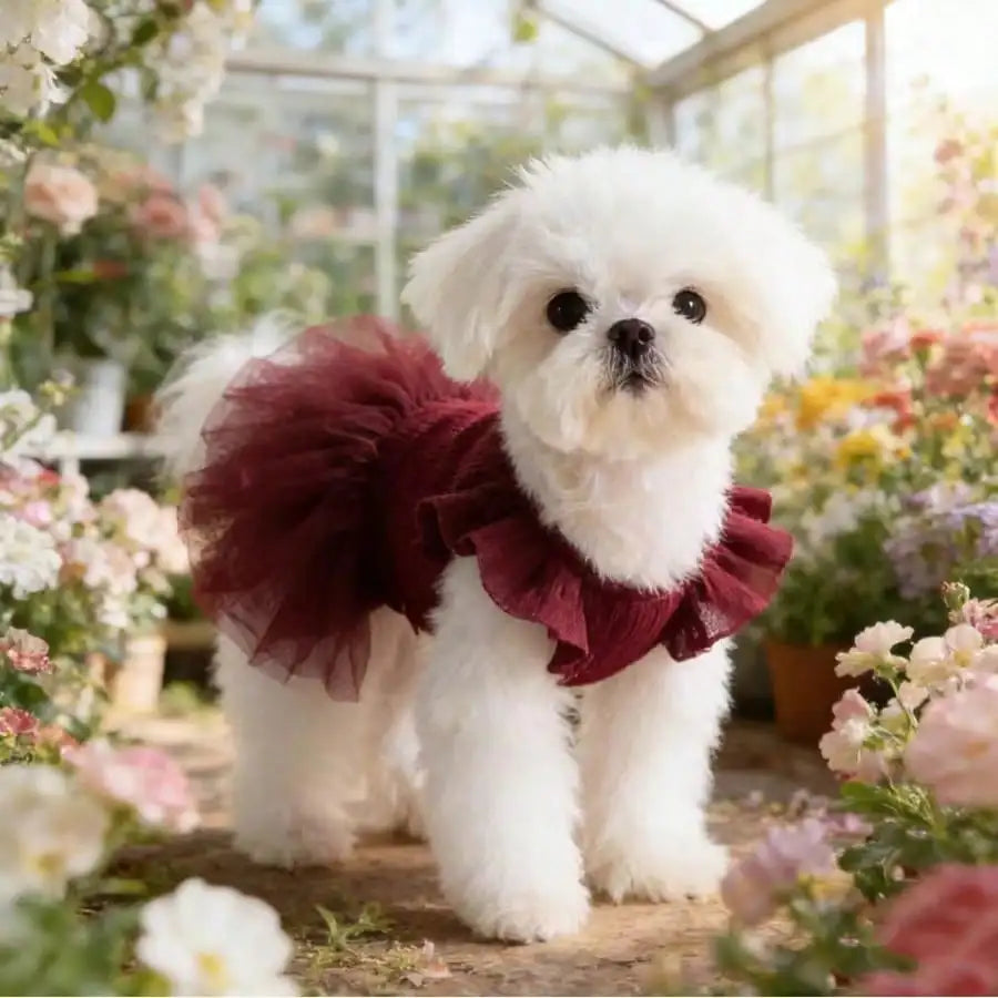 Elegant Ruffled Sleeve Princess Dress For Small Dogs And Cats