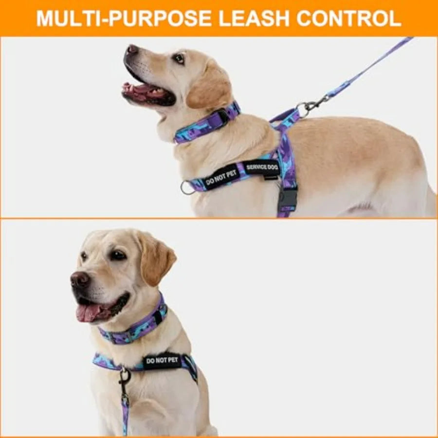 No Pull Dog Harness And Leash Heavy Duty Double Handle