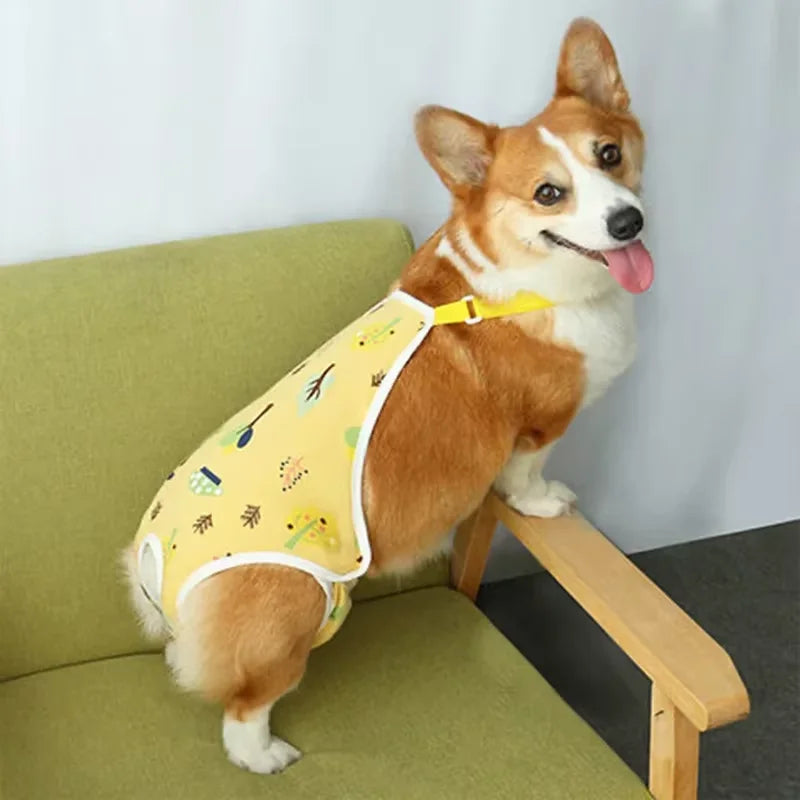 Adjustable Dog Underwear and Safety Trousers for French Bulldog