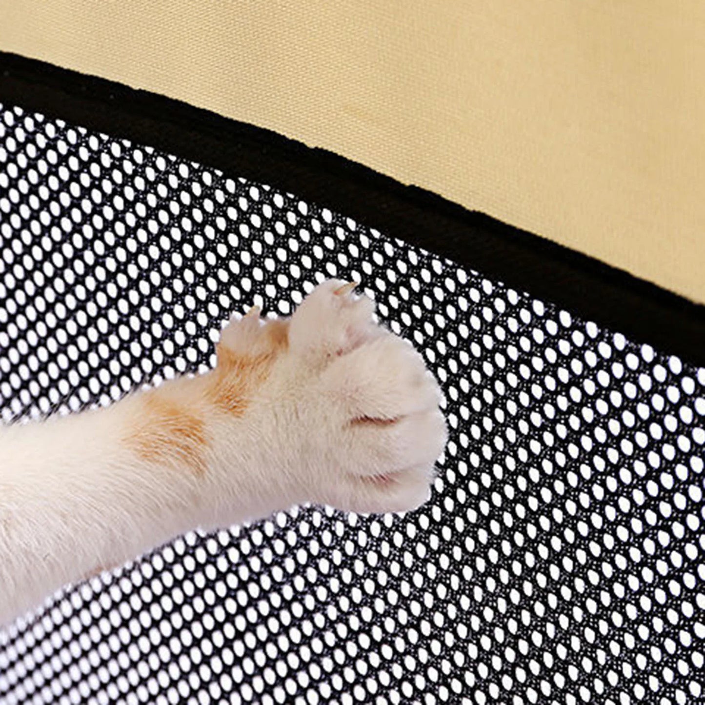 Foldable Soft Kennel Portable Dog Crate For Cats And Dogs