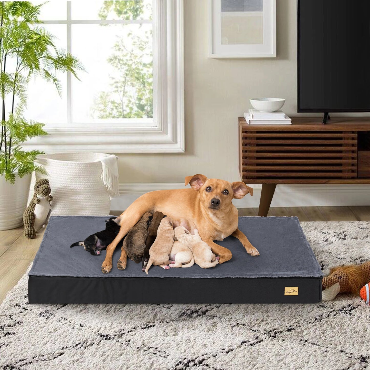 BINGOPAW Orthopedic Washable Dog Bed With Removable Cover
