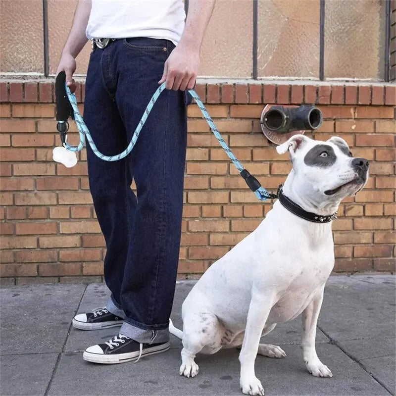 Reflective Nylon Dog Leash With Padded Handle For Safety