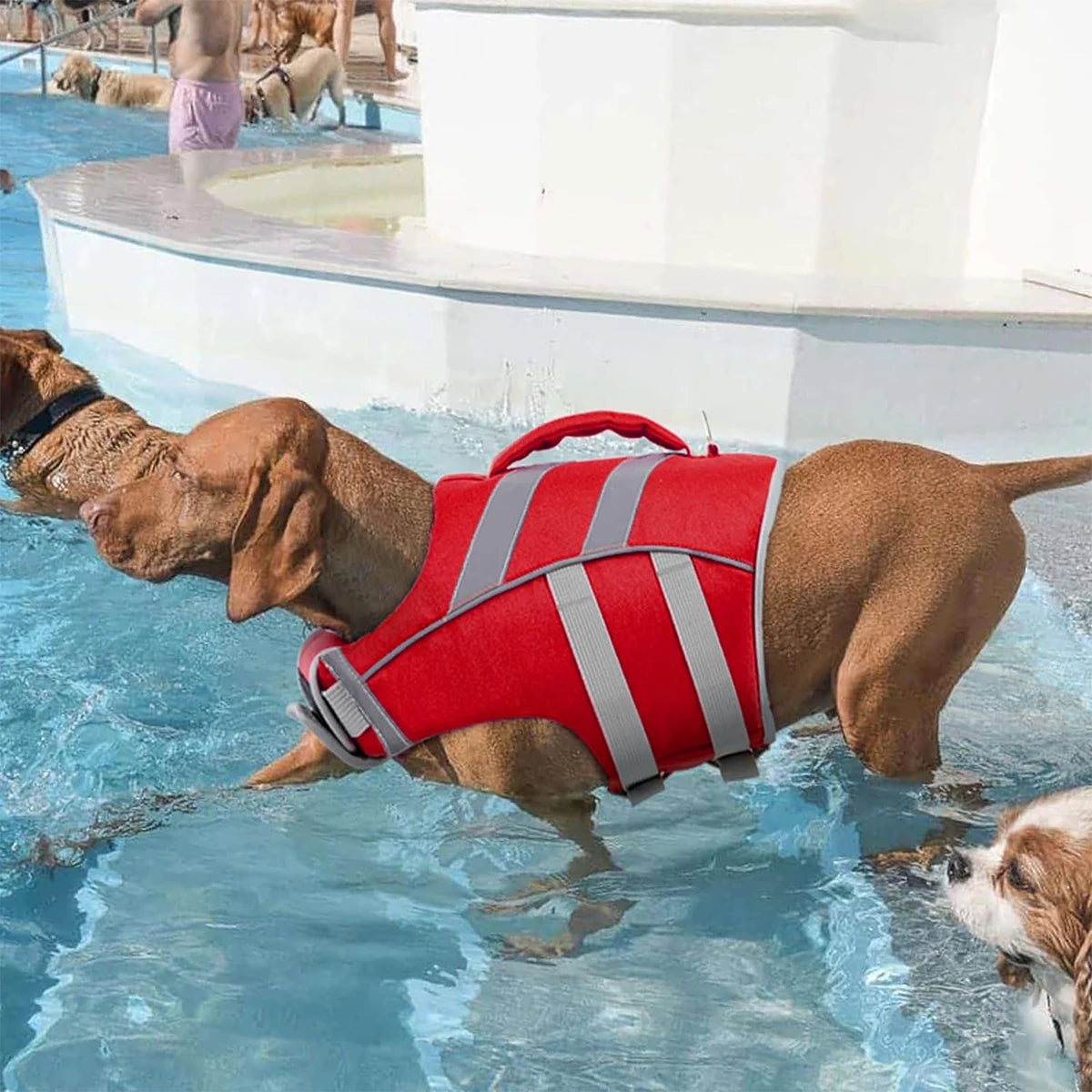 Premium Waterproof Dog Life Jacket With Reflective Stripes