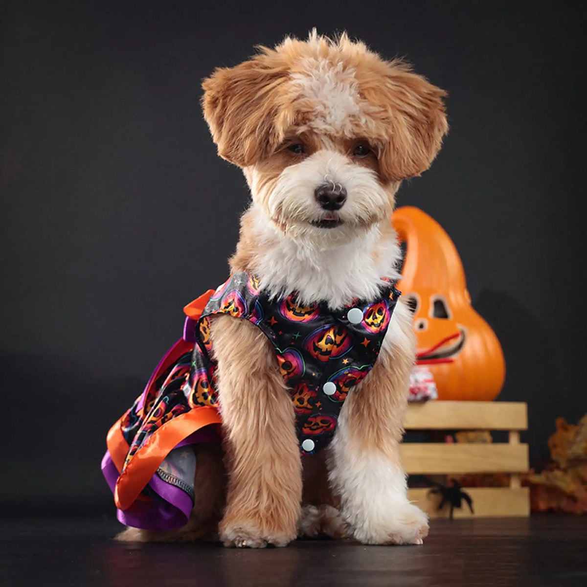 Pet Dog Halloween Costume Soft Pumpkin Skull Print Bowknot Dress