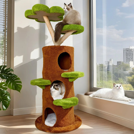 BORWART Luxury Wood Cat Tree Tower With Condo Bed And Scratching Post