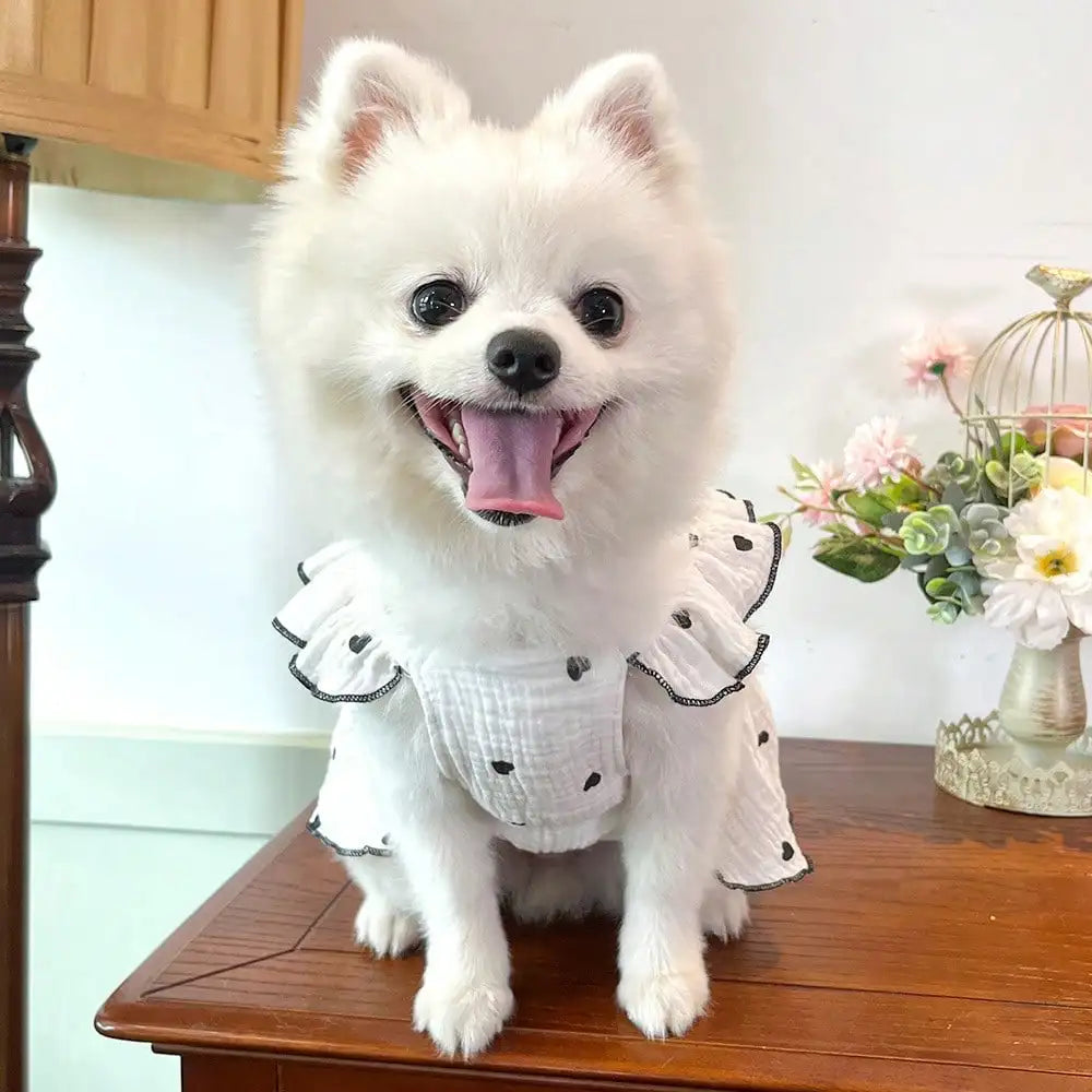 Pet Dresses For Spring And Summer Love Themed Dog Outfits