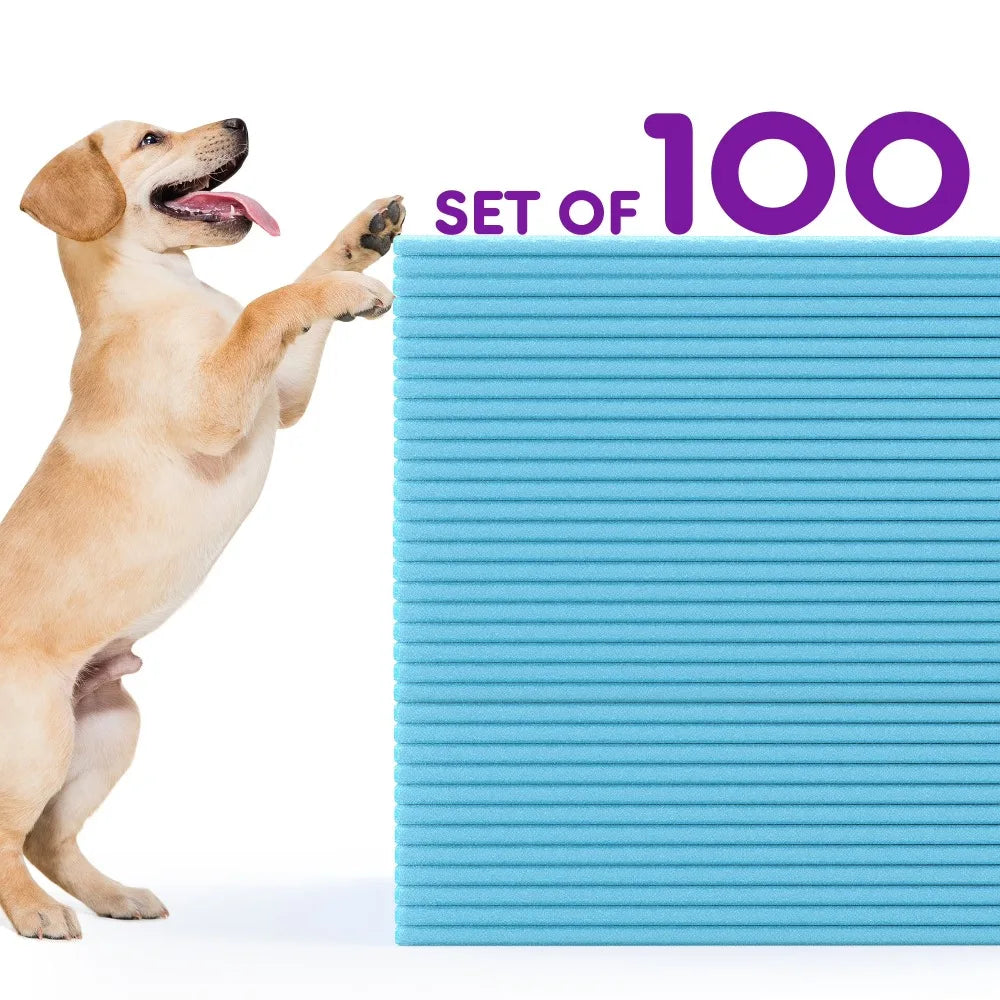 Disposable 100 Count Dog Pee Pads For Puppy Training
