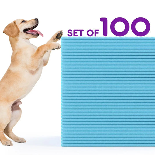 Disposable 100 Count Dog Pee Pads For Puppy Training