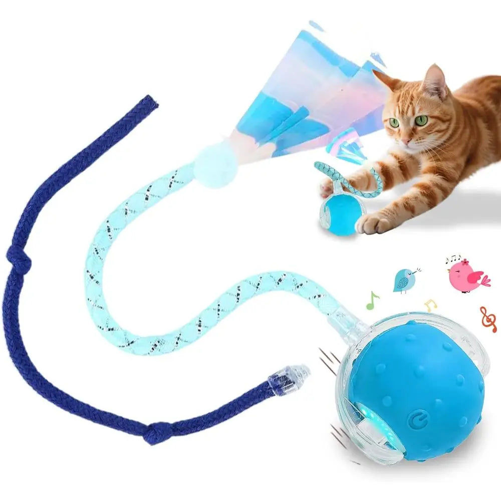 Interactive Cat Toy Ball With Auto Rolling And Bird Sounds