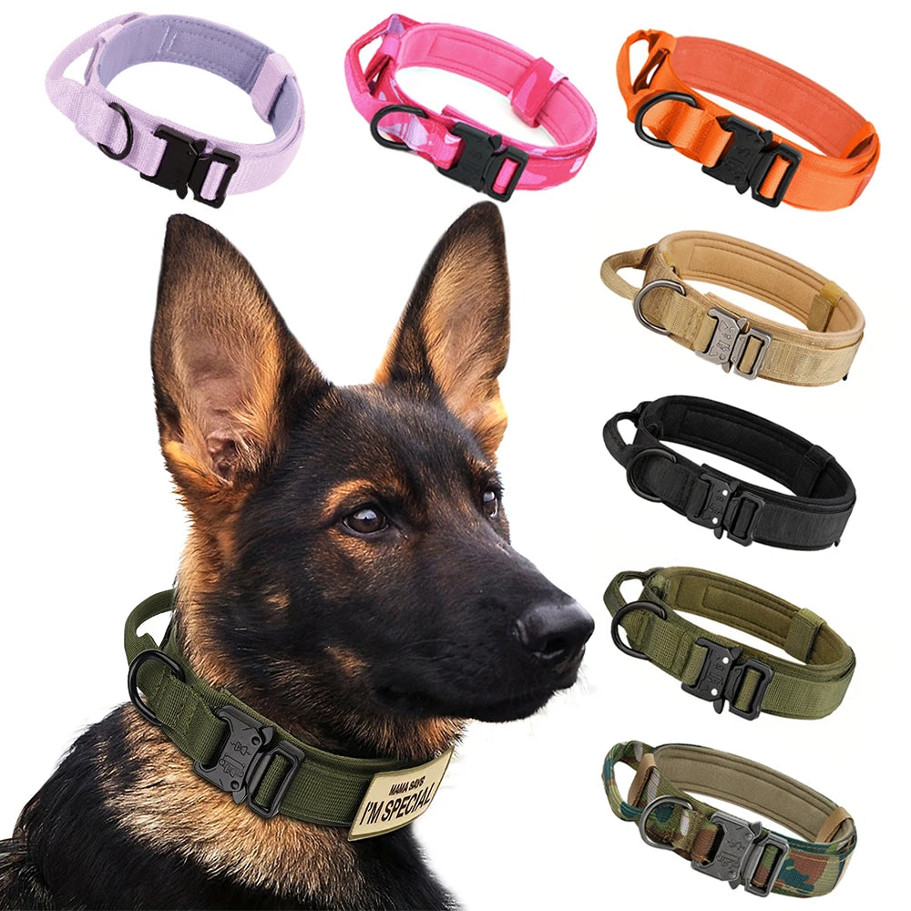 Nylon Adjustable Tactical Dog Training Collar And Leash Set