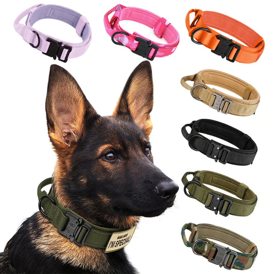 Nylon Adjustable Tactical Dog Training Collar And Leash Set