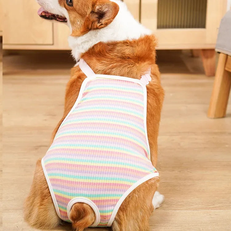 Adjustable Dog Underwear With Shoulder Strap For French Bulldog Pug Schnauzer