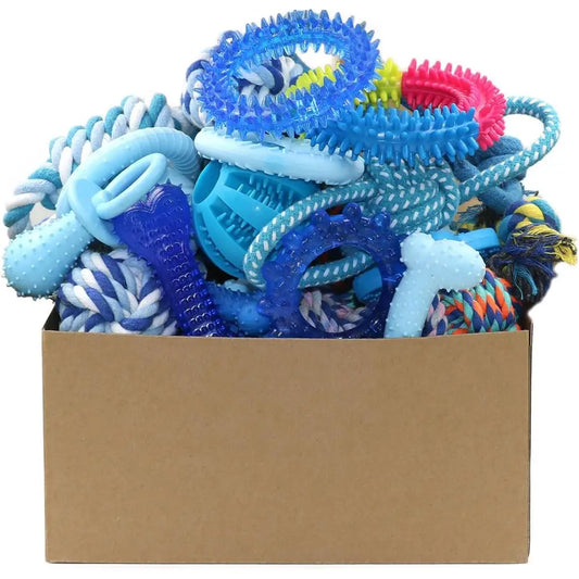 20 Pack Puppy Chew Toys Bundle For Teething Puppies