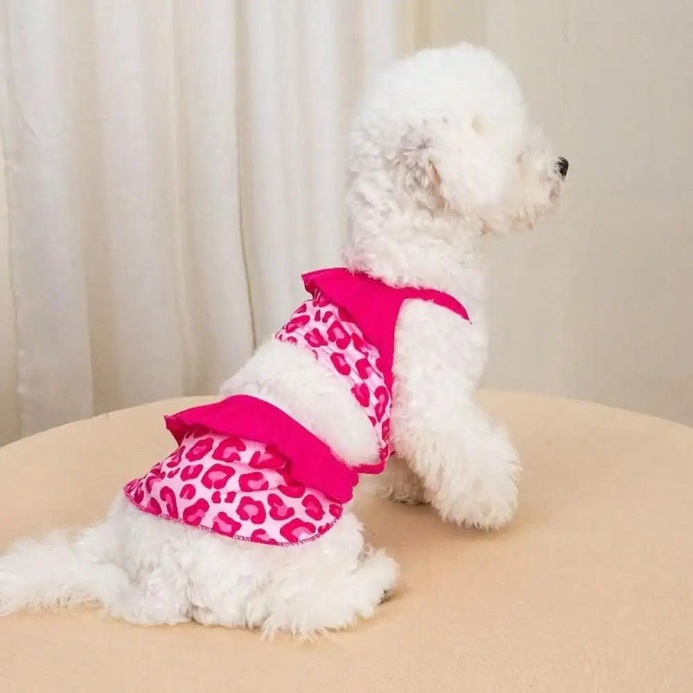 Pet Dog Lace Dress Camisole For Daily Wear And Photoshoots