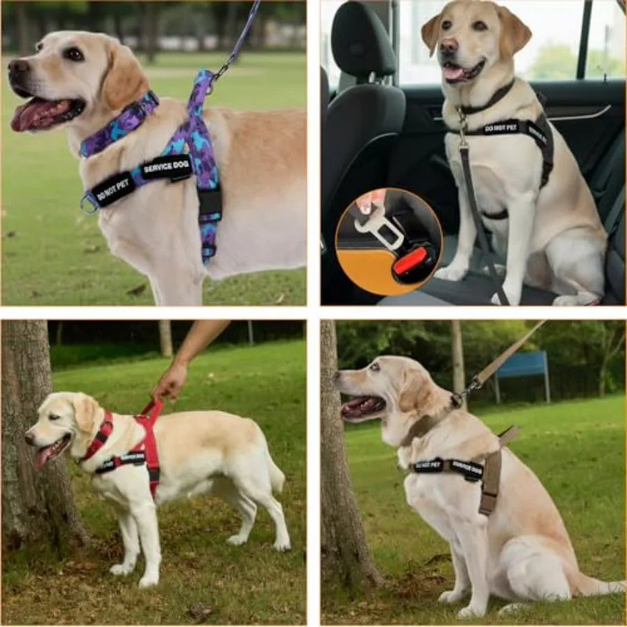 No Pull Dog Harness And Leash Heavy Duty Double Handle