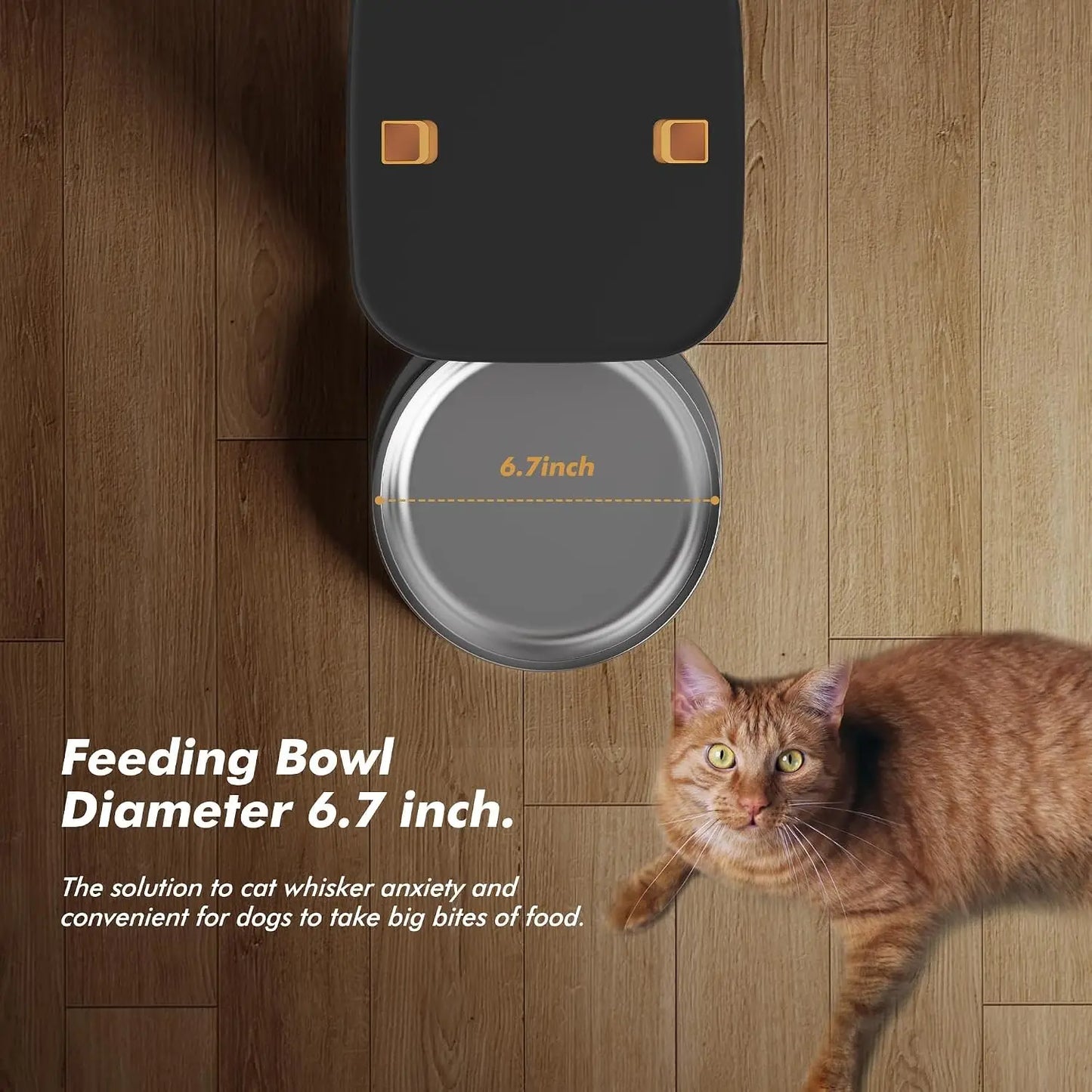 NITYERS Automatic Pet Feeder With Voice Recorder And Timed Feeding