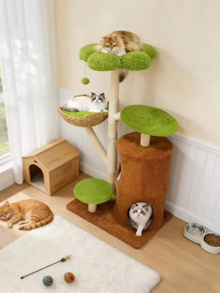 Borwart Double Tier Cat Tree Scratching Post and Activity Center