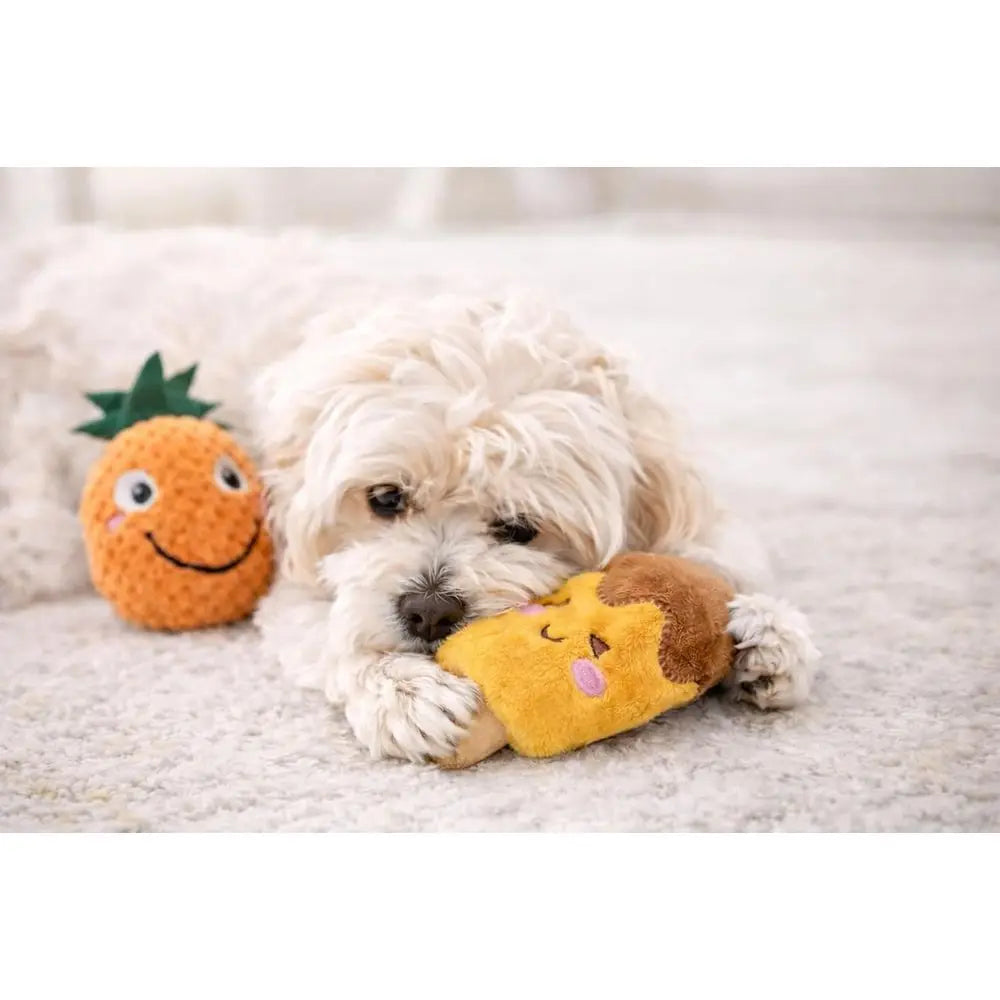 Squeaky Plush Dog Toys Pack for Small and Medium Pets
