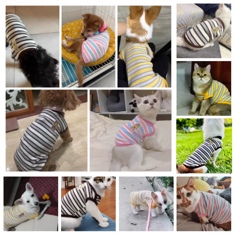 Korean Style Summer Cotton Bear Print Dog Vest Shirt