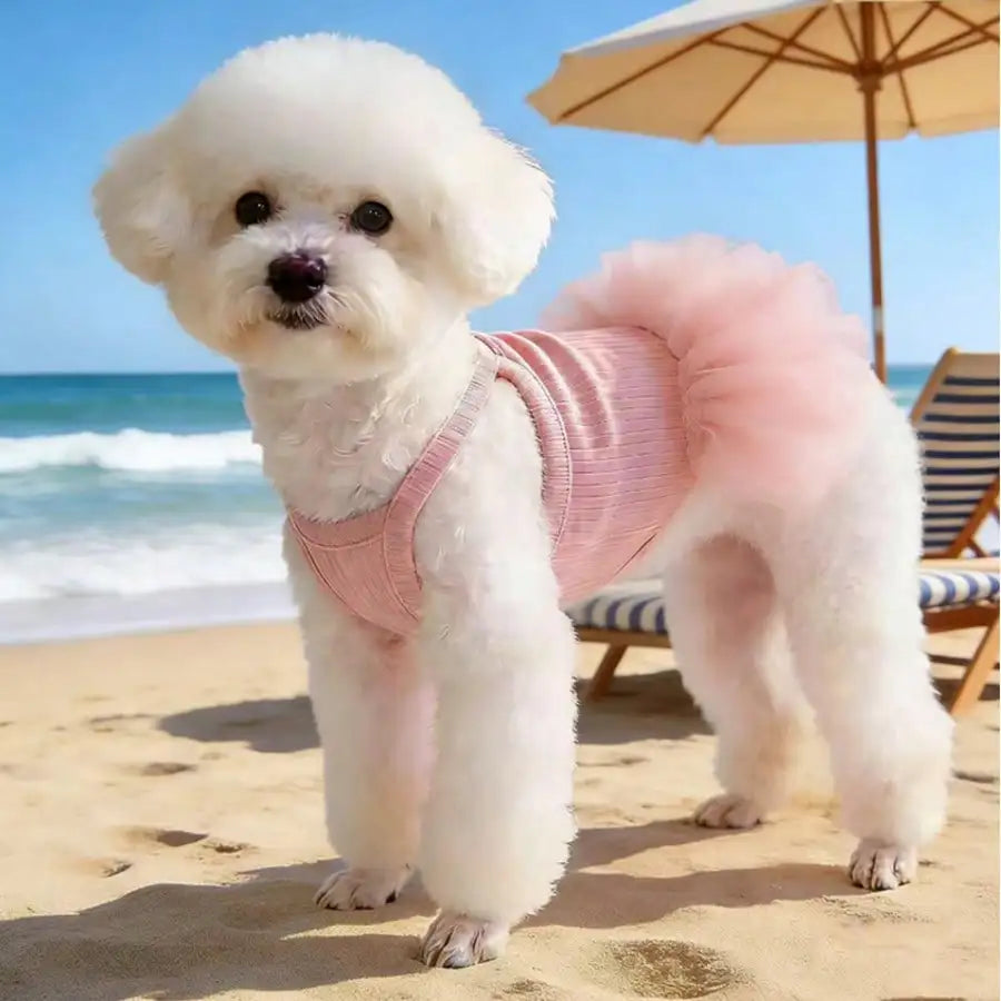 Elegant Sleeveless Ballet Tulle Princess Pet Outfit For Dogs