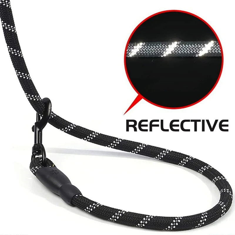 Reflective Nylon Dog Leash With Padded Handle For Safety