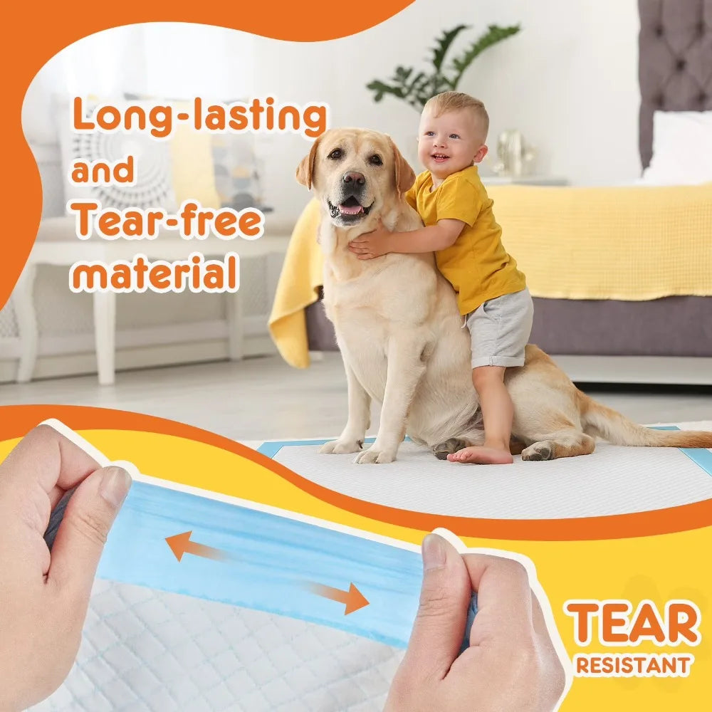Disposable 100 Count Dog Pee Pads For Puppy Training