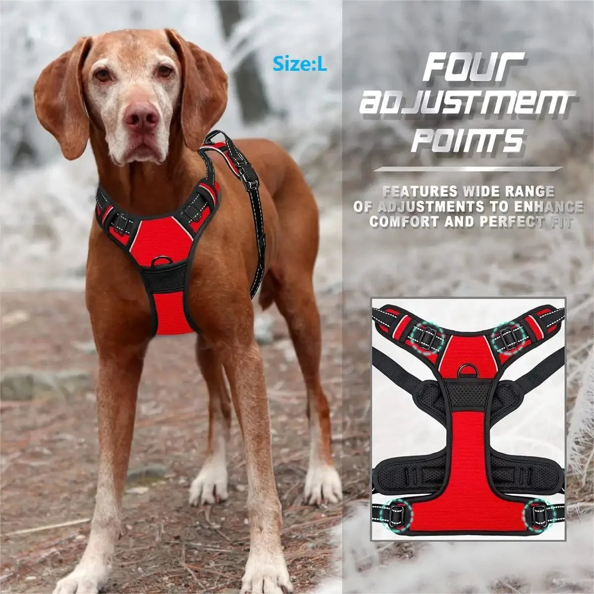 Dog Harness Leash Set For All Breeds Collars Vests Accessories