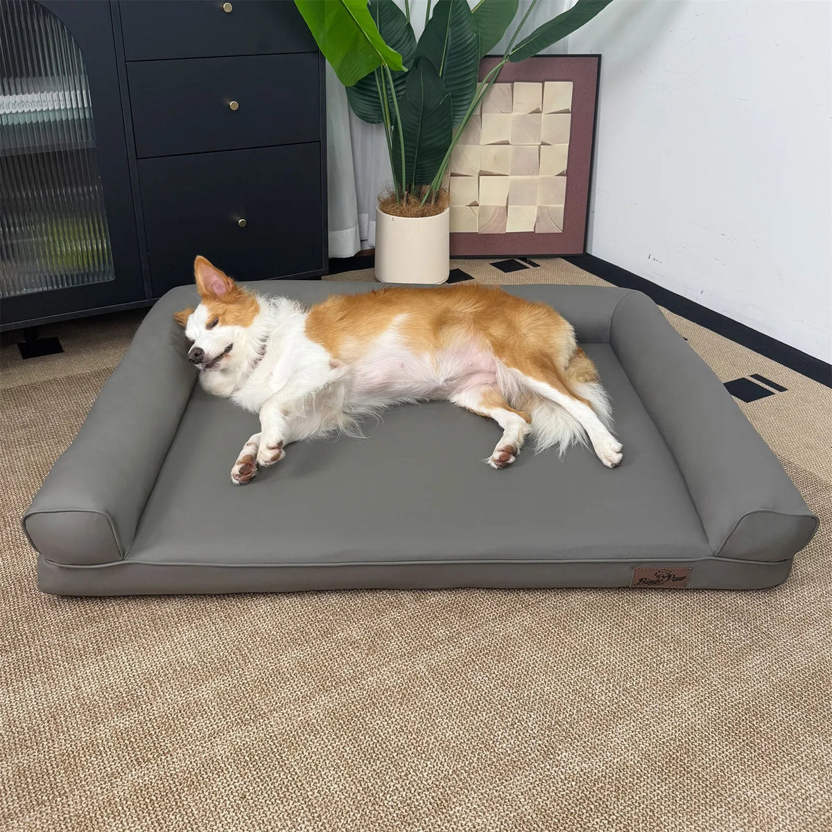 Borwart Orthopedic Dog Bed With Removable Cover Microfiber Leather Calming