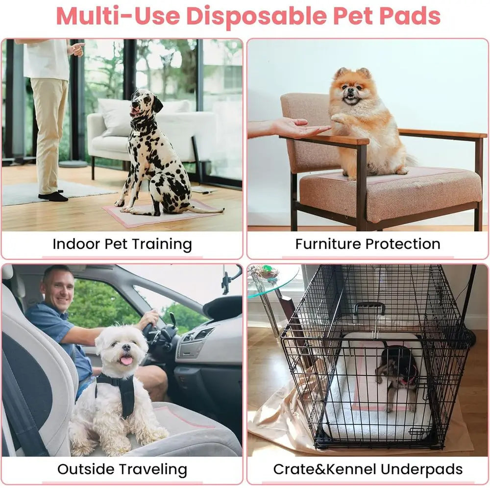Pet Toilet Training Pads 100 Count Ultra Absorbent Quick Dry Leak Proof