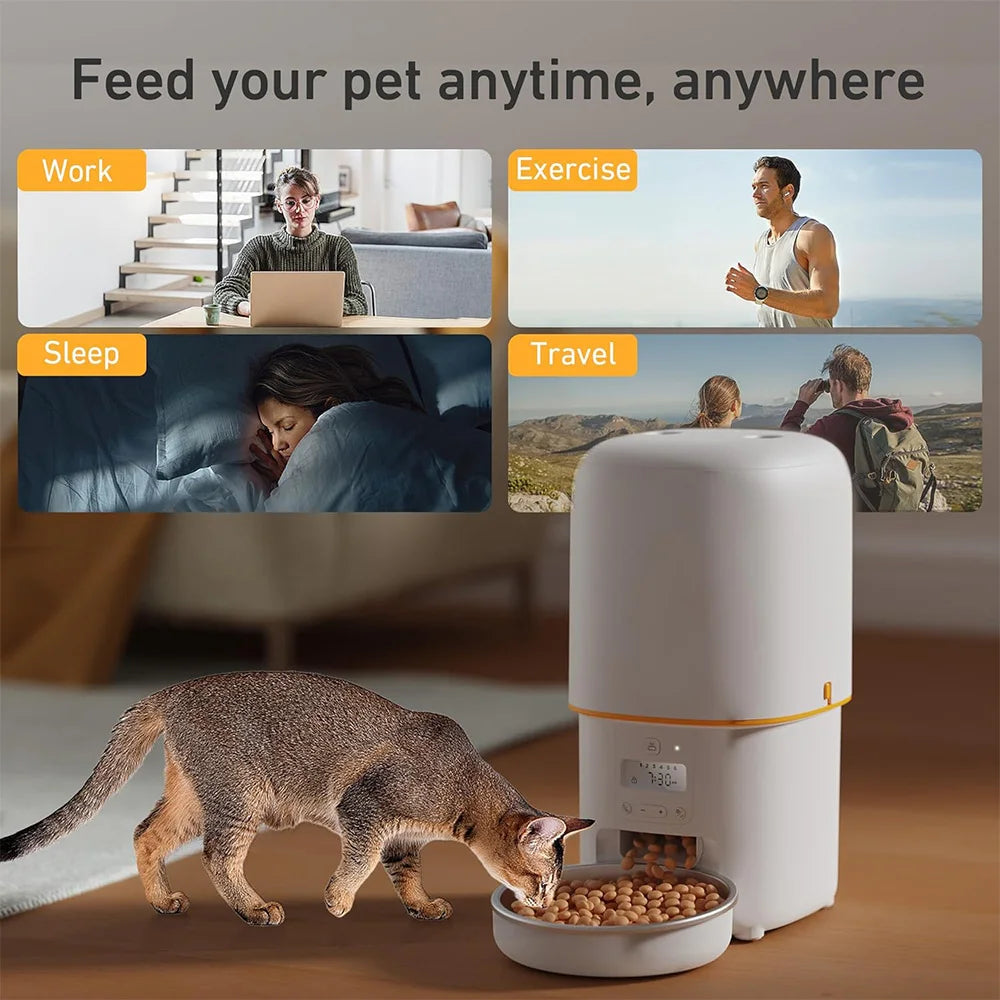 Nityers Automatic Cat Feeder With Timed Dispenser And Stainless Bowl