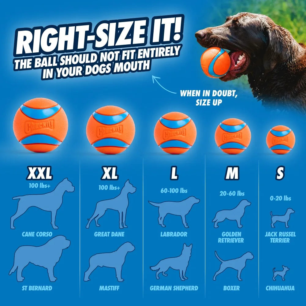 Chuckit! Ultra Tug Dog Ball With Strap For Large Dogs