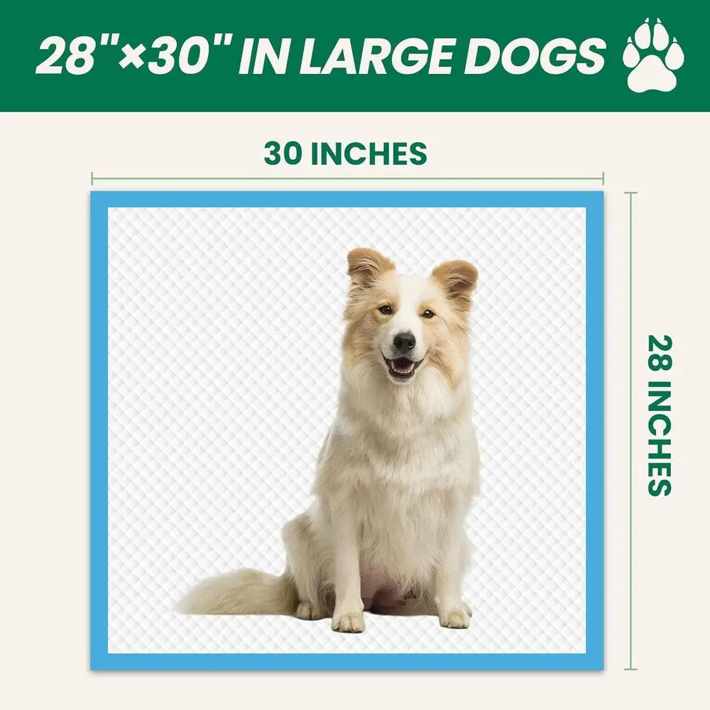 Pee Pads Hundred Count Large Dog Cat 28x30 Quick Dry
