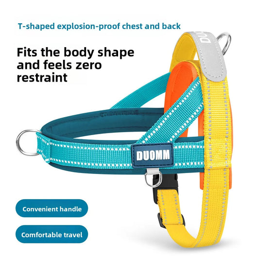 Dog Harness Leash Set For Pets Outdoor Adjustable Comfort