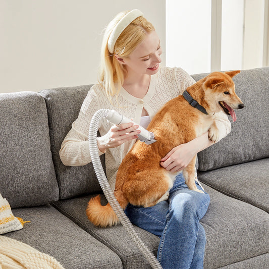 Professional Pet Grooming Vacuum Kit With Low Noise Clippers